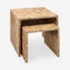 Raisa Burl Wood Nesting Side Tables (Set Of 2) 1 Raisa Burl Wood Nesting Side Tables (Set Of 2) -Luluandgeorgia Shop 20BEDF NENA
