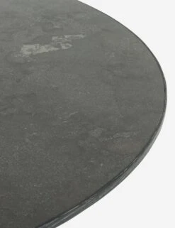 Shanay Round Dining Table -Luluandgeorgia Shop 223383 001 DET 1 1