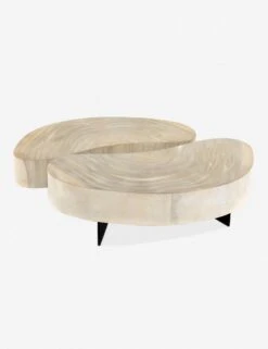 Finley Coffee Table Set -Luluandgeorgia Shop 223615 001 bck 1