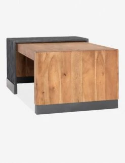 Luciane Coffee Table -Luluandgeorgia Shop 224826 001 det 1