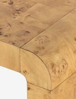 Martine Coffee Table -Luluandgeorgia Shop 224830 002 DET 4