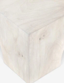 Xian Coffee Table -Luluandgeorgia Shop 226624 001 DET 3