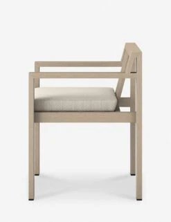 Mona Indoor / Outdoor Dining Arm Chair -Luluandgeorgia Shop 226831 005 SID 1