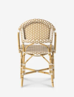 Monet Indoor / Outdoor Dining Chair 11 Monet Indoor / Outdoor Dining Chair -Luluandgeorgia Shop 226843 001 BCK 1