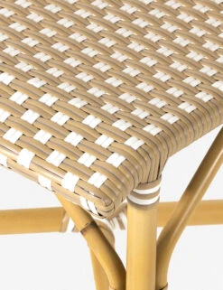 Monet Indoor / Outdoor Dining Chair 12 Monet Indoor / Outdoor Dining Chair -Luluandgeorgia Shop 226843 001 DET 3