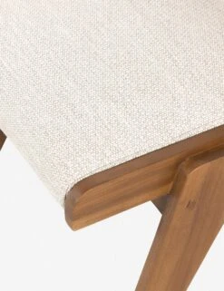 Stevie Indoor / Outdoor Dining Chair -Luluandgeorgia Shop 226846 001 DET 3