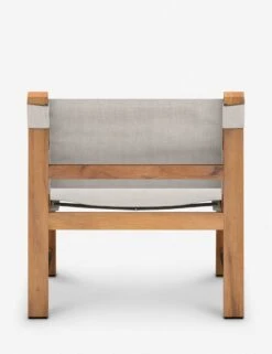 Paulette Indoor / Outdoor Accent Chair -Luluandgeorgia Shop 226883 002 BCK 1