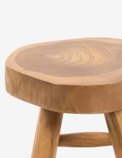 Oberon Indoor / Outdoor Stool -Luluandgeorgia Shop 227704 001 DET 1 SITECROP