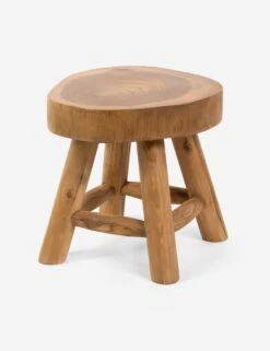 Oberon Indoor / Outdoor Stool -Luluandgeorgia Shop 227704 001 PRM 1 SITECROP