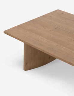 Remwald Coffee Table -Luluandgeorgia Shop 228772 001 DET 2