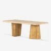 Roxana Coffee Table 2 Roxana Coffee Table -Luluandgeorgia Shop 229300 001 PRM 1
