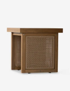 Anson Indoor / Outdoor Side Table -Luluandgeorgia Shop 229413 001 DET 1