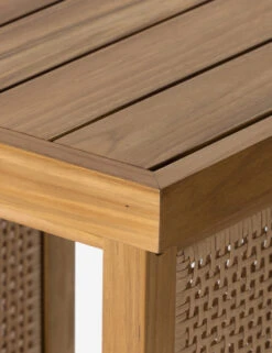 Anson Indoor / Outdoor Side Table -Luluandgeorgia Shop 229413 001 DET 4