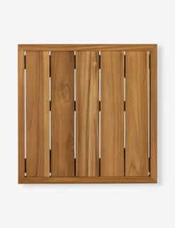 Anson Indoor / Outdoor Side Table -Luluandgeorgia Shop 229413 001 TOP 1