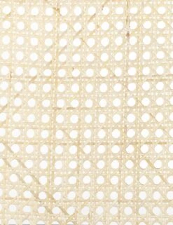 Barron Dining Chair 14 Barron Dining Chair -Luluandgeorgia Shop 229571 001 DET 2