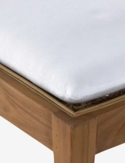 Jaz Indoor / Outdoor Dining Chair 13 Jaz Indoor / Outdoor Dining Chair -Luluandgeorgia Shop 230309 001 DET 5 SITECROP