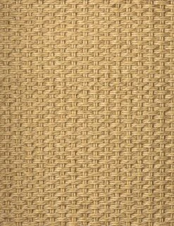 Wilkins Indoor / Outdoor Accent Chair 15 Wilkins Indoor / Outdoor Accent Chair -Luluandgeorgia Shop 231931 001 DET 2