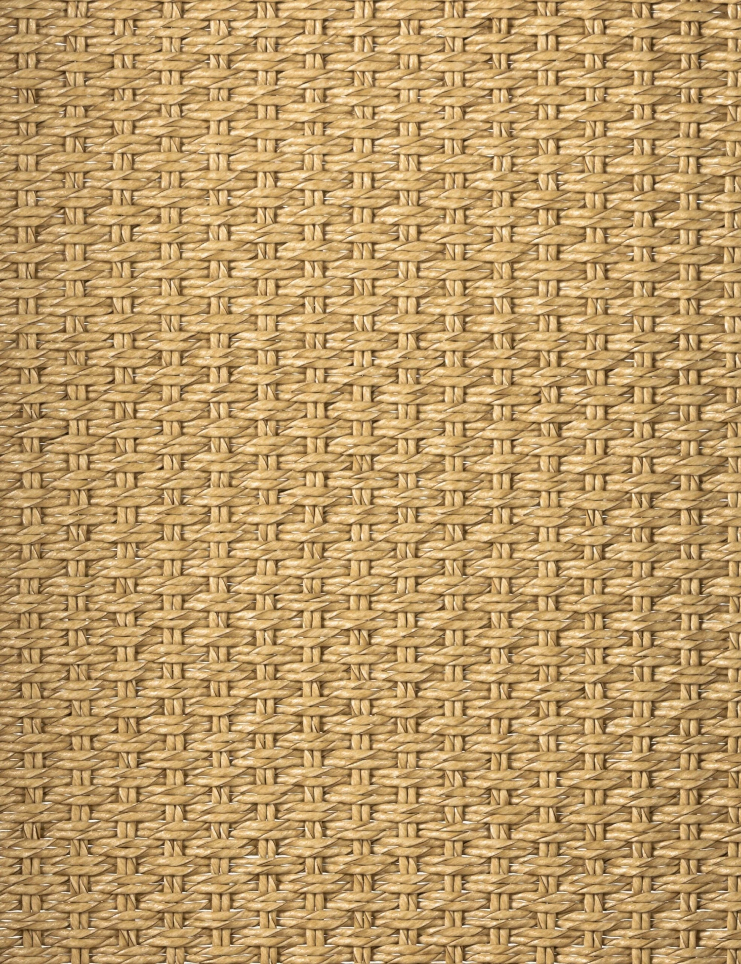 Wilkins Indoor / Outdoor Accent Chair 9 Wilkins Indoor / Outdoor Accent Chair - Image 7