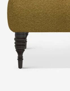 Vyolet Accent Chair -Luluandgeorgia Shop 9505CPNOCH 4