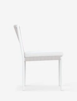 Esparza Indoor / Outdoor Dining Chair -Luluandgeorgia Shop CAT R03DA CU CATALINA ARMLESS DINING CHAIR WB03