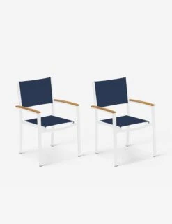 Hermes Indoor / Outdoor Dining Chair (Set Of 2) 12 Hermes Indoor / Outdoor Dining Chair (Set Of 2) -Luluandgeorgia Shop TVCHS.T101 AC.N PC.W2