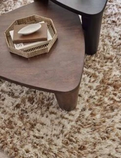 Trio Nesting Coffee Table 14 Trio Nesting Coffee Table -Luluandgeorgia Shop TeeganRugLivingRoom 4734 SITECROP 2 9e31f075 2696 4854 a967 436fb9834012