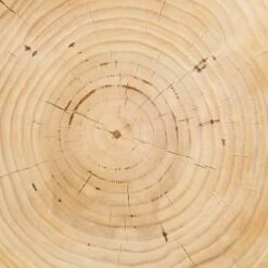 Solaro Side Table 13 Solaro Side Table -Luluandgeorgia Shop cbsh 024 det 2