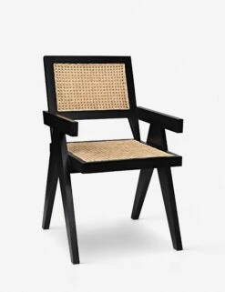 Alvi Dining Chair -Luluandgeorgia Shop gcha278b