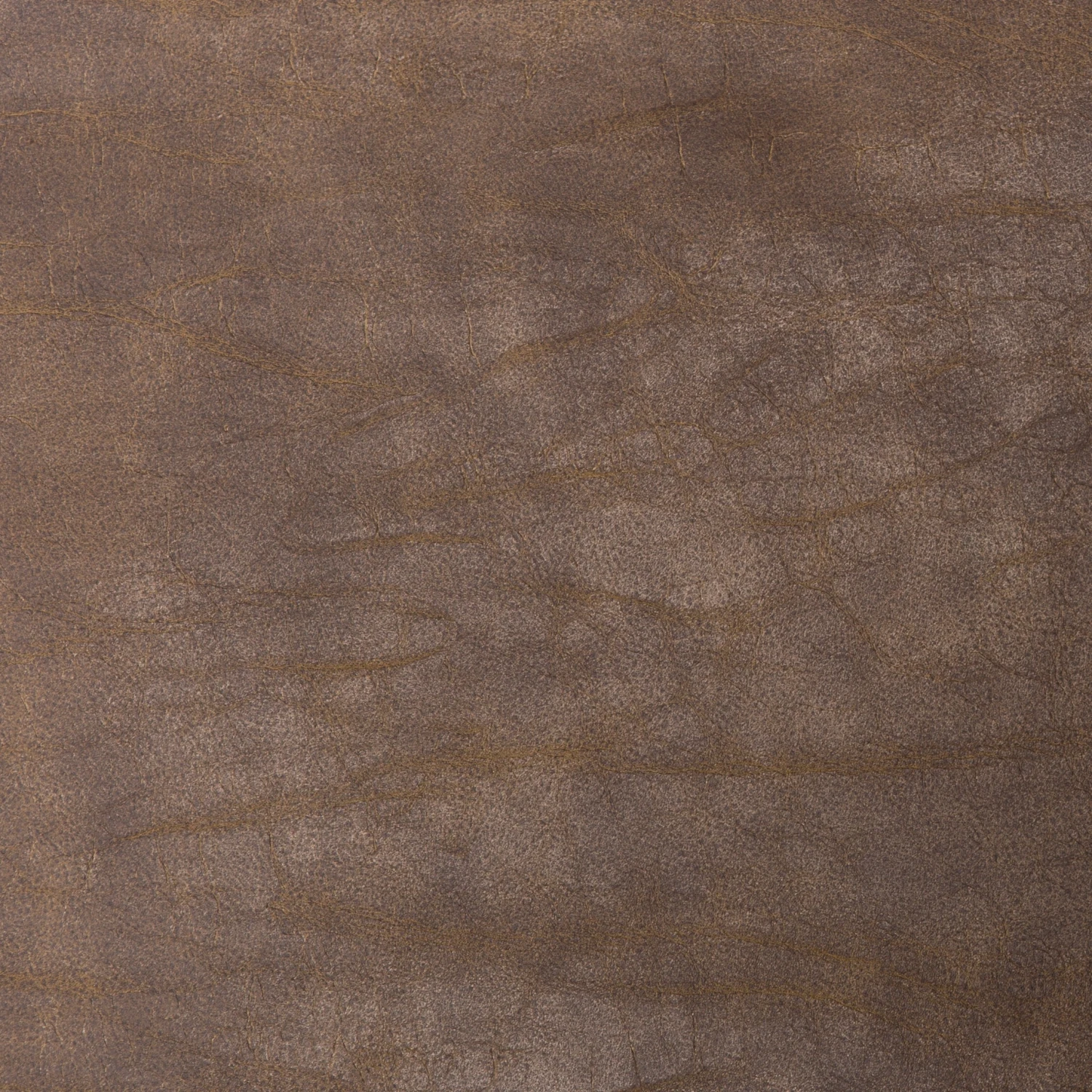 Trysta Dining Chair 13 Trysta Dining Chair - Image 11